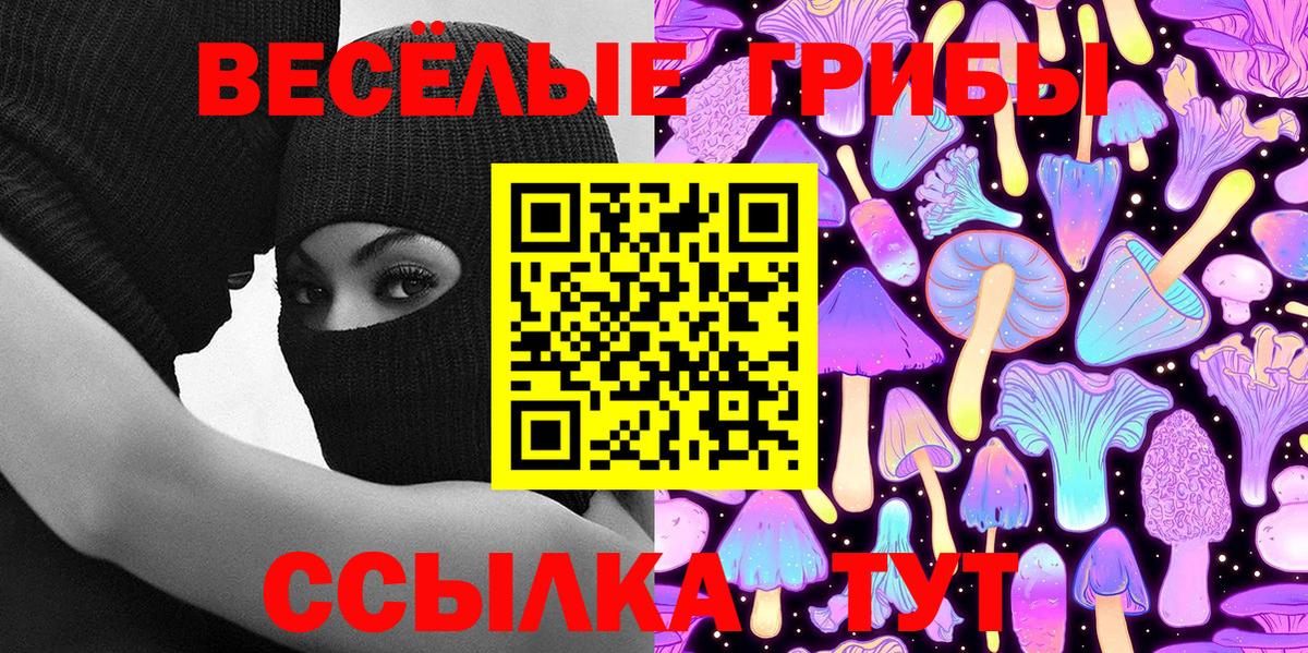 Галлюциногенные грибы Cubensis  Галлюциногенные грибы мицелий  купить наркоту  Вольск  Вход с VPN 
